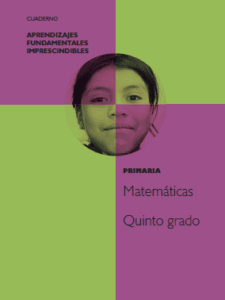 Aprendizajes Fundamentales 5°