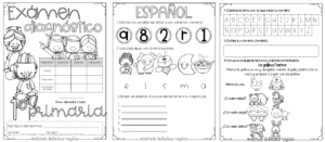 Examen Diagnostico 1°