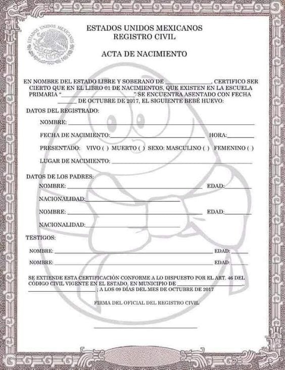 acta de nacimiento del huevo