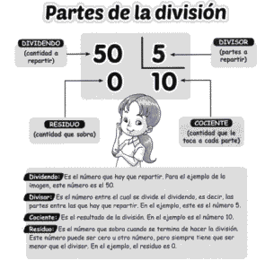 partes de la division