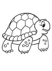 Dibujos de animales para colorear