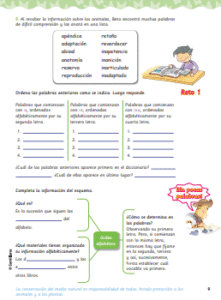 ortografía 5°